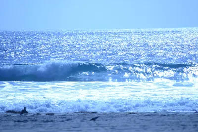 DSC_4998 (Large).JPG